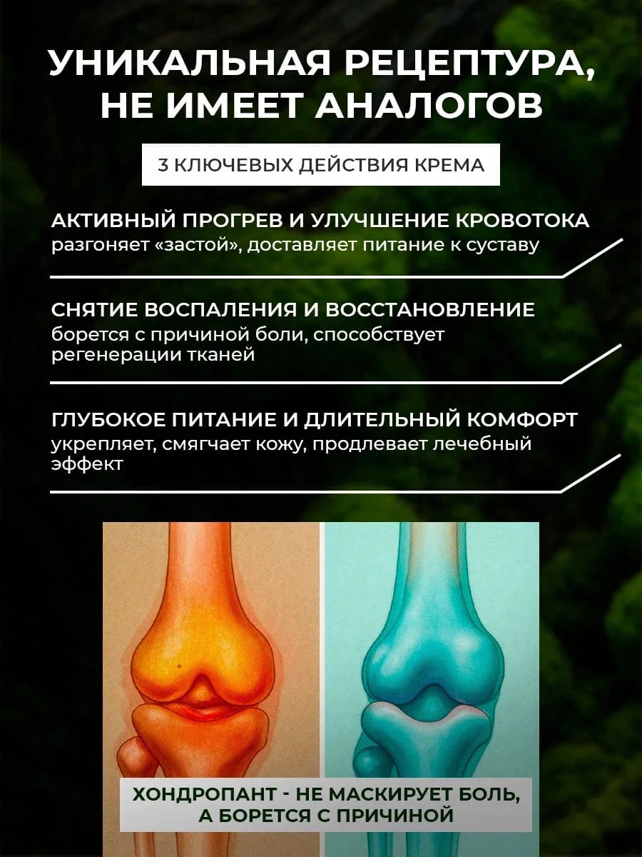 ХОНДРОПАНТ